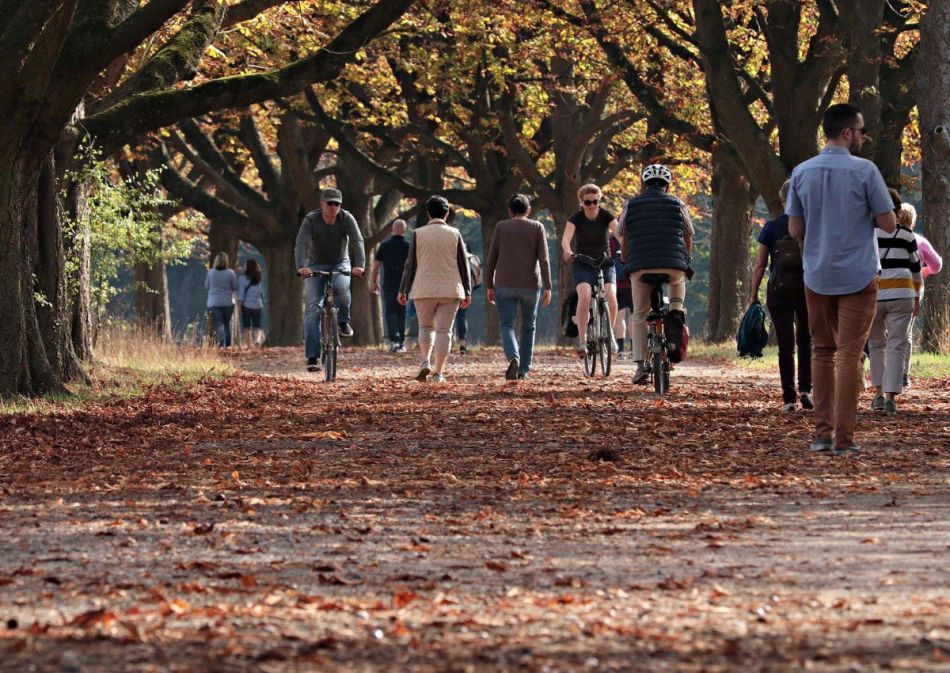 Menschen gehen in einem herbstlichen Park spazieren und fahren Fahrrad.