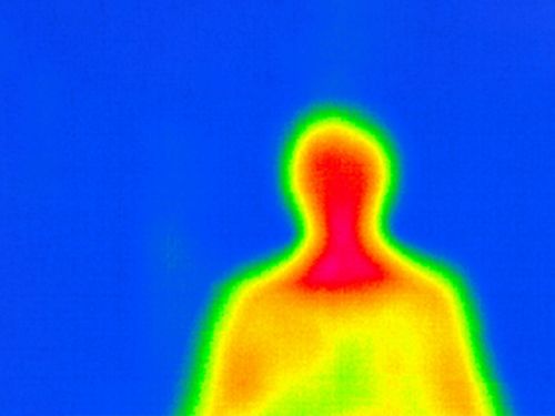 Wärmebildaufnahme von einem menschlichen Oberkörper.