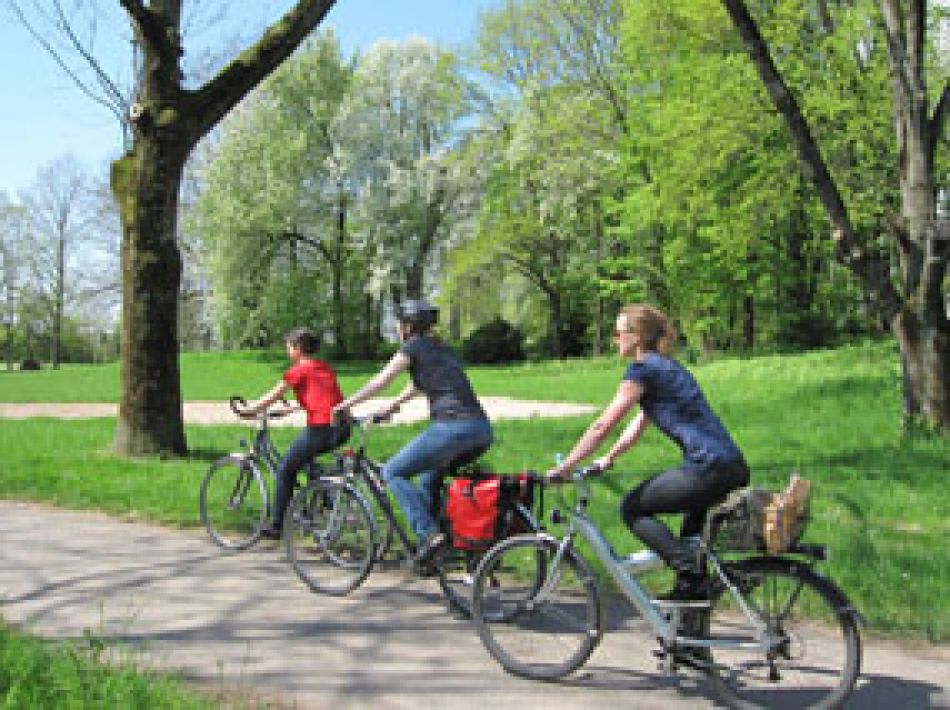 Drei Personen fahren Rad im Park.