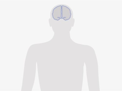 Grafische Darstellung eines menschlichen Oberkörpers, blau eingefärbt ist das Gehirn.
