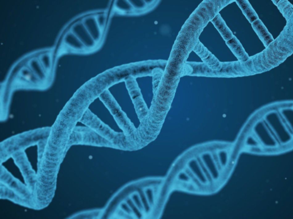 DNA-Strang © Arek Socha, Pixabay