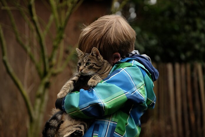 Ein kleiner Junge hält schmusend eine Katze an sich gedrückt.