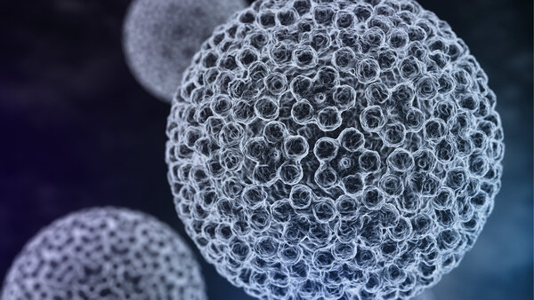 Schematische Darstellung Humaner Papillomviren unter dem Mikroskop