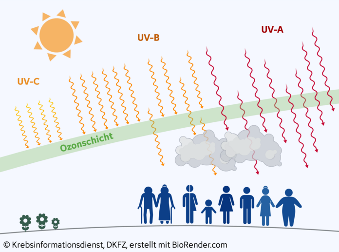 Infografik UV-Strahlung , © Krebsinformationsdienst, DKFZ; erstellt mit BioRender.com Grafik, die eine Sonne mit ausgehenden UV-Strahlen (UV-A, UV-B und UV-C) zeigt, welche von einer Ozonschicht und zum Teil von Wolken abgefangen werden. Nur einzelne Strahlen passieren und fallen auf Personen, die auf der Erde abgebildet sind.