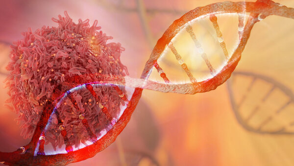 Krebzelle und DNA