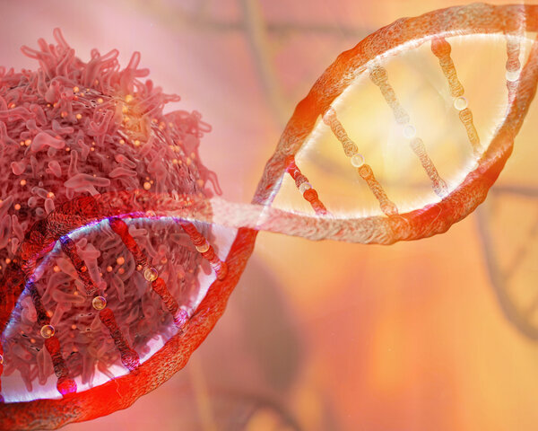 Krebzelle und DNA