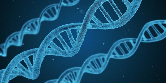 Nahansicht der Doppelhelix eines DNA-Strangs.