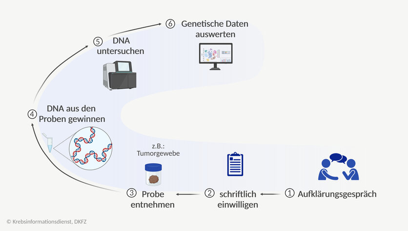 Grafische Darstellung, wie Forschende genetische Daten erheben: Nach einer Aufklärung und schriftlichen Einwilligung der Patientin oder des Patienten wird Biomaterial (zum Beispiel Blut oder Tumorgewebe) entnommen, dann die DNA daraus gewonnen und untersucht.