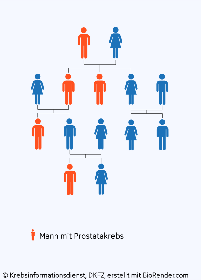 Erblicher Prostatakrebs, © Krebsinformationsdienst, DKFZ; erstellt mit Biorender.com Stammbaum einer Familie mit erblichen Prostatakrebs: Es gibt Väter und Brüder die erkrankt sind und solche die gesund geblieben sind.