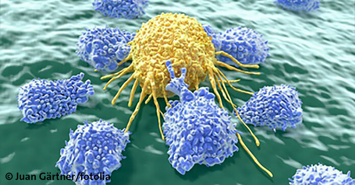 Immunzellen greifen eine Krebszelle an.
