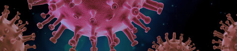 Coronavirus (SARS-CoV-2) in mikroskopischer Ansicht