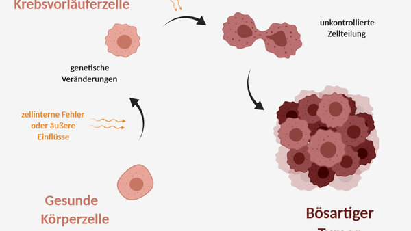 Aus einer gesunden Körperzellen entwickelt sich eine Krebszelle.