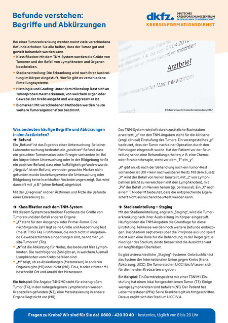 Informationsblatt "Befunde verstehen: Begriffe und Abkürzungen" Informationsblatt "Befunde verstehen: Begriffe und Abkürzungen"