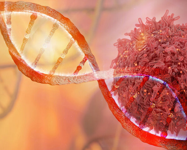 DNA und Krebszelle schematisch dargestellt