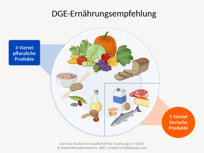 Die Deutsche Gesellschaft für Ernährung (DGE) empfiehlt eine überwiegend pflanzenbasierte Ernährung.