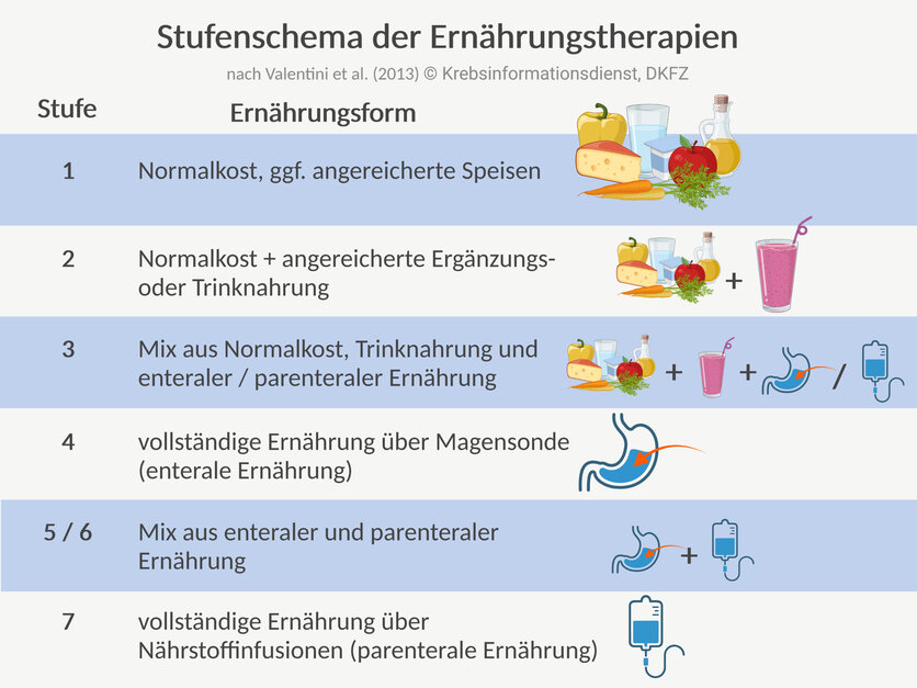 Eine Tabelle zeigt die Stufen 1 bis 7 der Ernährungstherapie. Stufe 1: Normalkost; Stufe 2: Normalkost plus Ergänzungs- oder Trinknahrung; Stufe 3: Kombination aus Normalkost, Trinknahrung und enteraler Ernährung über eine Magensonde oder parenteraler Ernährung über Infusionen; Stufe 4: vollständige enterale Ernährung; Stufen 5 und 6: Kombinationen aus parenteraler und enteraler Ernährung; Stufe 7: vollständig parenterale Ernährung.