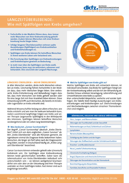 Informationsblatt "Langzeitüberlebende: Wie mit Spätfolgen von Krebs umgehen?"