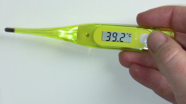 Ein Fieberthermometer zeigt 39,2 Grad Celsius.
