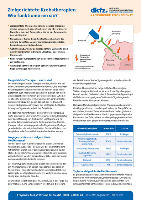 Informationsblatt "Zielgerichtete Krebstherapien: Wie funktionieren sie?" Informationsblatt "Zielgerichtete Krebstherapien: Wie funktionieren sie?"