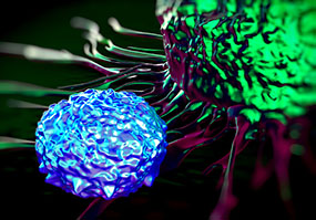 Graphische Darstellung: Eine T-Zelle greift eine Krebszelle an.