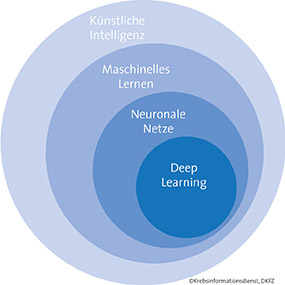 Grafische Darstellung der Fachbegriffe rund um KI © Krebsinformationsdienst, Deutsches Krebsforschungszentrum